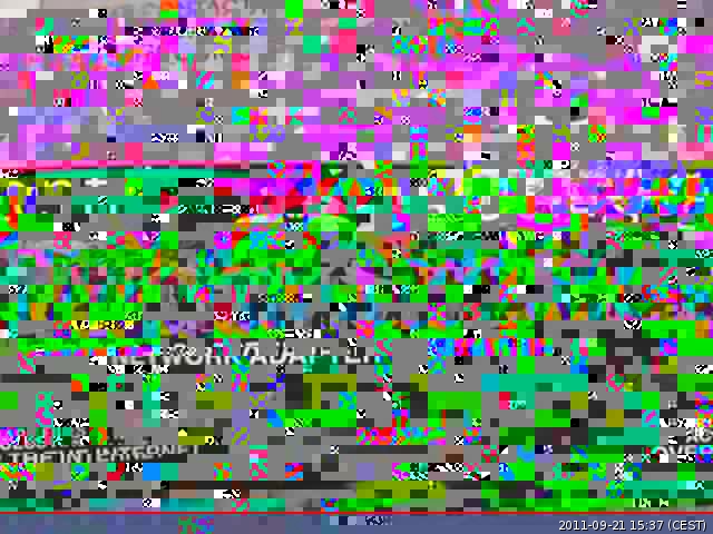 image.jpg